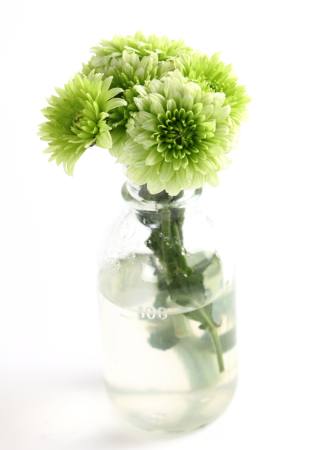 anlæg, blomst, grøn, vand, rør, vase Kerstin Aust - Dreamstime