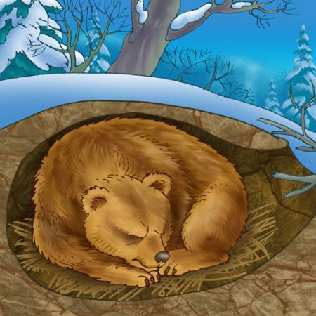 bjørn, vinter, søvn, kulde, natur Alexander Kukushkin - Dreamstime