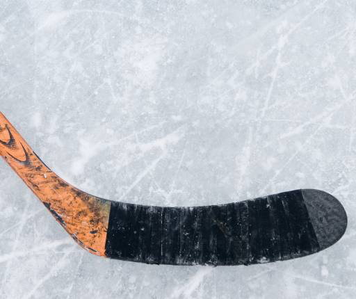 stick, hockey, is, hvid, sort Volkovairina