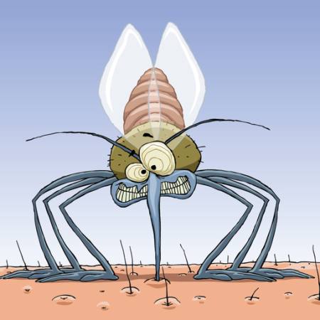 myg, dyr, hår, fluer, familie, infektion, malaria Dedmazay - Dreamstime