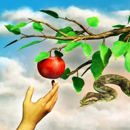 æble, slange, gren, grøn, blade, hånd Andreus - Dreamstime