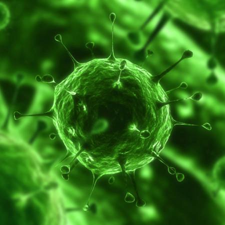 bakterier, virus, insekter, sygdom, celle Sebastian Kaulitzki - Dreamstime