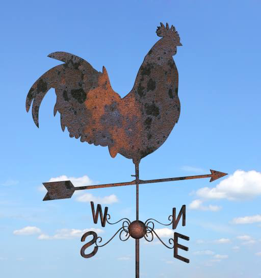 hane, pil, sky, skyer, dyr, kylling Julien Tromeur (Julos)
