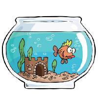 Pixwords Billedet med fisk, skål, swin, vand, slot, sand Dedmazay - Dreamstime