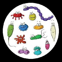 Pixwords Billedet med insekter, mikroskop, slim, virus Dedmazay - Dreamstime