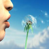ansigt, menneske, plante, læber, blå, himmel, blomster Andreus - Dreamstime