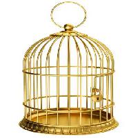 Pixwords Billedet med fugl, bur, guld, lås Ayvan - Dreamstime