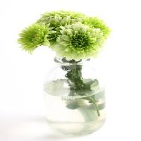 anlæg, blomst, grøn, vand, rør, vase Kerstin Aust - Dreamstime