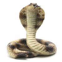 Pixwords Billedet med slange, dyr, Lightzoom - Dreamstime