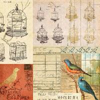 Pixwords Billedet med bur, fugl, fugle, tegning Jodielee