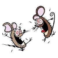 Pixwords Billedet med mus, mus, vanvittige, glade, to Donald Purcell - Dreamstime
