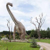 Pixwords Billedet med dinosaur, park, tra, traer, dyr Caesarone
