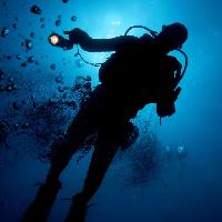 Pixwords Billedet med vand, mand, dykker, bla, lys, bobler Planctonvideo