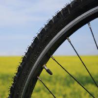 cykel, hjul, gron, gras, felt, natur Leonidtit