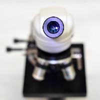 kamera, linse, mikroskop catiamadio