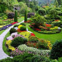 Pixwords Billedet med have, blomster, farver, grøn Photo168 - Dreamstime