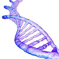 Pixwords Billedet med adn, gen, menneskelige, blod, lilla Sebastian Kaulitzki - Dreamstime