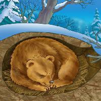 Pixwords Billedet med bjørn, vinter, søvn, kulde, natur Alexander Kukushkin - Dreamstime