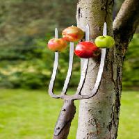 Pixwords Billedet med æbler, gaffel, træ Krzysztof Drygalski - Dreamstime
