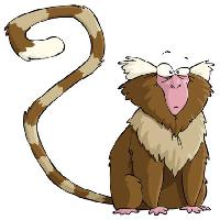 Pixwords Billedet med abe, dyr, hale, weird, overrasket Dedmazay - Dreamstime