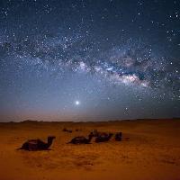 Pixwords Billedet med himmel, nat, , orken, kameler, stjerner, mane Valentin Armianu (Asterixvs)