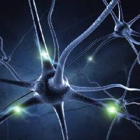 Pixwords Billedet med synapse, hoved, neuron, tilslutninger Sashkinw - Dreamstime
