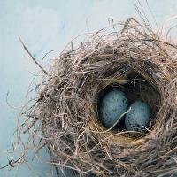 Pixwords Billedet med reden, æg, fugl, blå, hjem, Antaratma Microstock Images © Elena Ray - Dreamstime