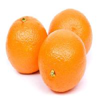 Pixwords Billedet med frugt, spise, orange Niderlander - Dreamstime