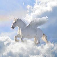 Pixwords Billedet med hest, skyer, flyve, vinger Viktoria Makarova - Dreamstime