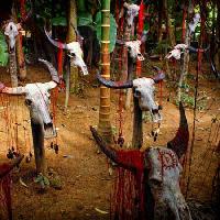 Pixwords Billedet med hoved, hoveder, kranium, kranier, blod, træer, dyr Victor Zastol`skiy - Dreamstime