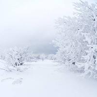 Pixwords Billedet med vinter, hvid, træ Kutt Niinepuu - Dreamstime