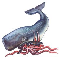 Pixwords Billedet med fisk, dyr, hval, blaksprutter Palych