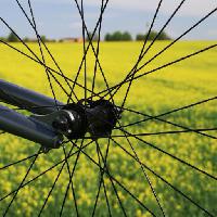 Pixwords Billedet med hjul, jord, gras, felt, cykel, gul Leonidtit