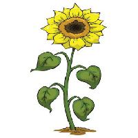 Pixwords Billedet med gult, vokser, blomst, grøn, plante Dedmazay - Dreamstime