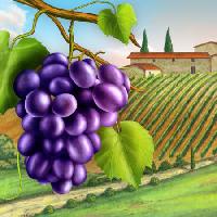 Pixwords Billedet med druer, værftet, grøn, blad, vin, gård Andreus - Dreamstime