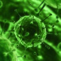 Pixwords Billedet med bakterier, virus, insekter, sygdom, celle Sebastian Kaulitzki - Dreamstime